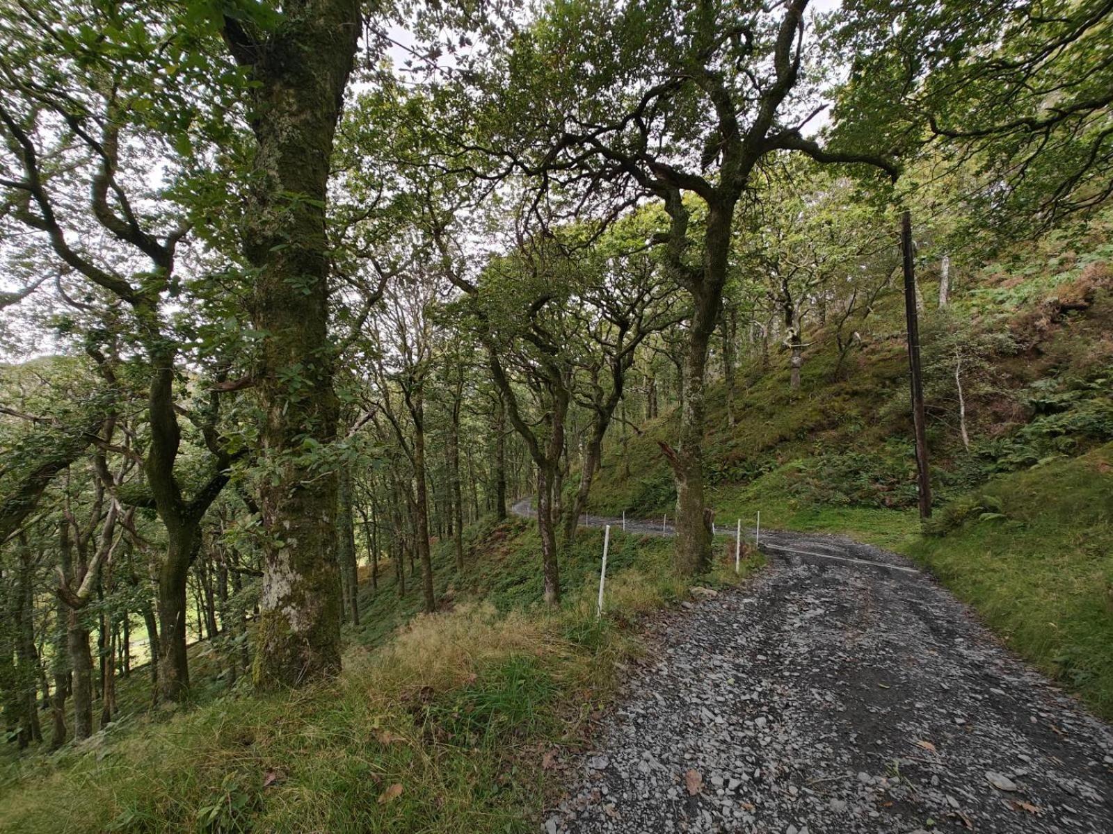 Pandy Farmhouse - Panoramic Mountain Views Within Snowdonia'S National Park - 4X4 Recommended Dolgellau Εξωτερικό φωτογραφία